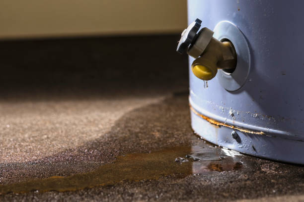 Best Residential water damage restoration  in Fort Calhoun, NE