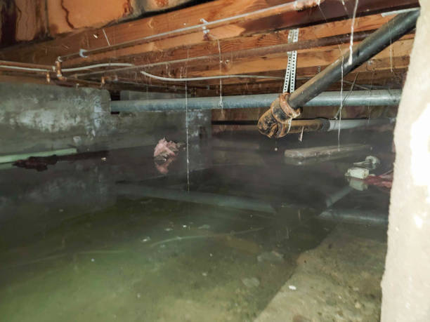 Best Ceiling water damage repair  in Fort Calhoun, NE