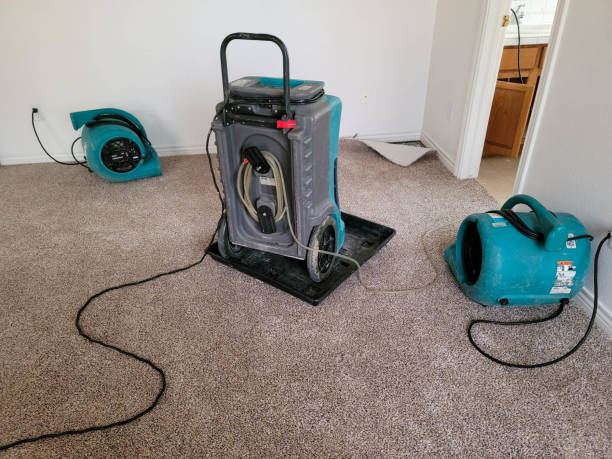 Best 24/7 water damage repair  in Fort Calhoun, NE