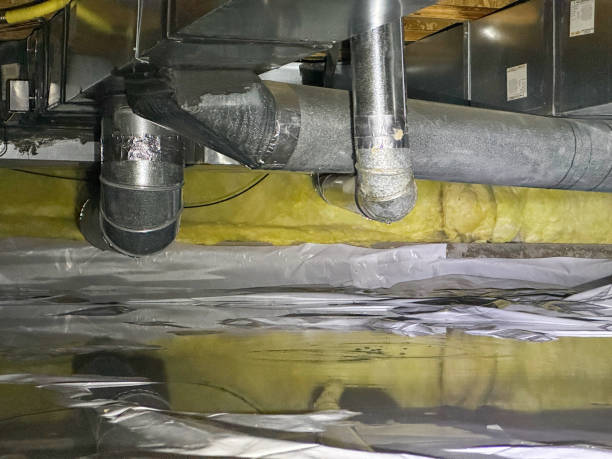 Best Water damage restoration specialists  in Fort Calhoun, NE