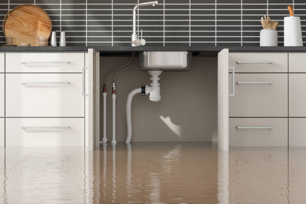 Best Professional water damage repair  in Fort Calhoun, NE